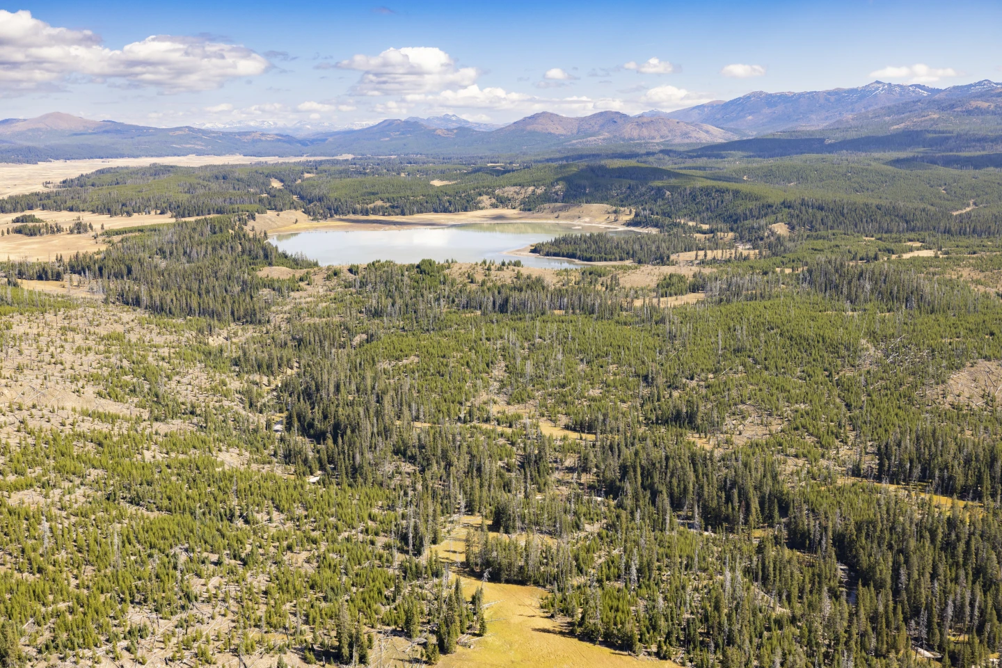 Former Park Officials Urge Closure of National Parks During Potential Shutdown