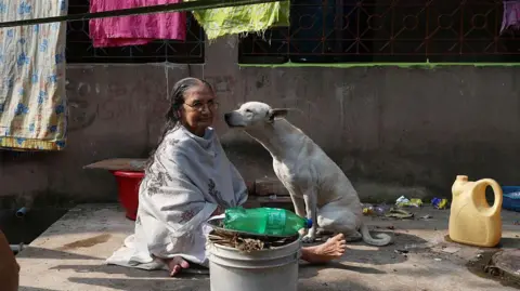 Telangana's Shocking Stray Dog Killings Prompt Investigation