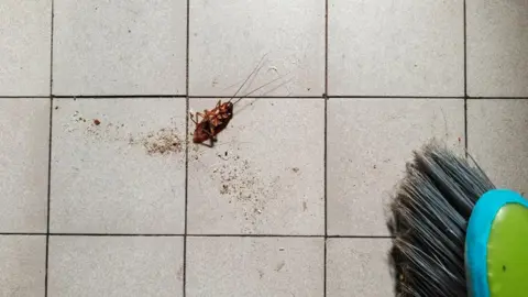 Cockroach Encounter Leads to Deadly Blaze in South Korea Apartment