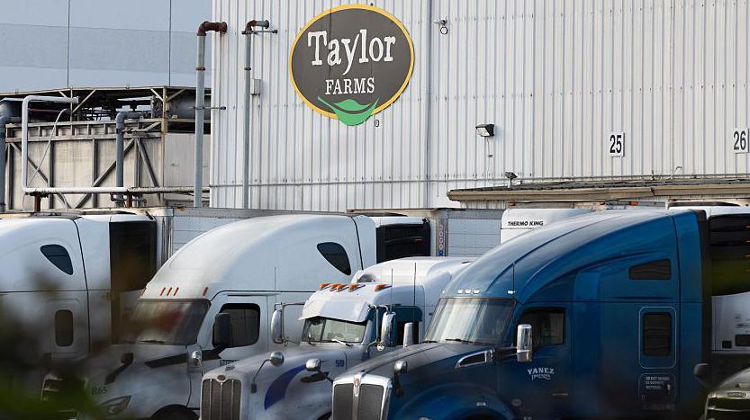 False Positive in Cyclospora Test Raises Questions Over Taco Bell Lettuce Outbreak