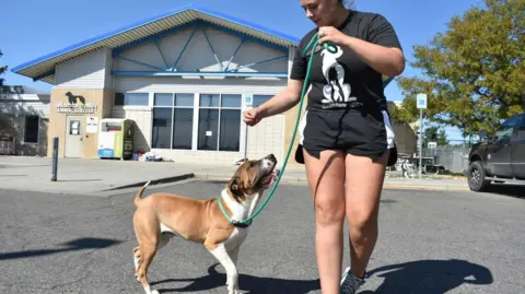 FBI Drug Disposal Incident Hospitalizes Animal Shelter Workers