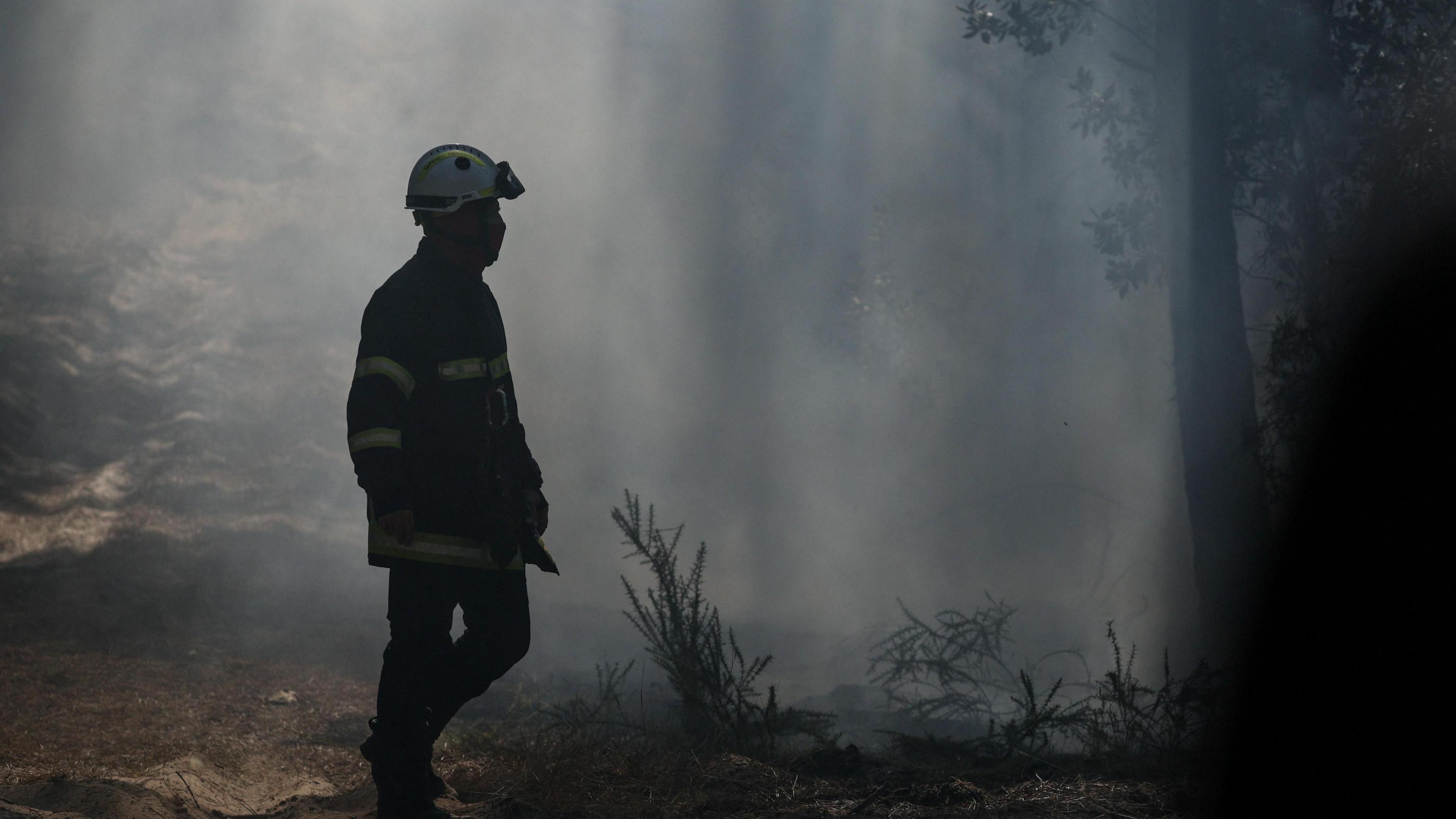 Gironde Wildfires Escalate as 40°C Heatwave Looms