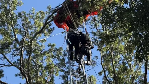 Tragedy Strikes as Skydiving Instructor Dies in Nashville Jump