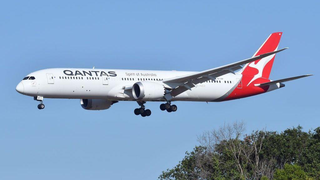 Qantas Flight Grounded after Bedbug Outbreak on Route to Australia