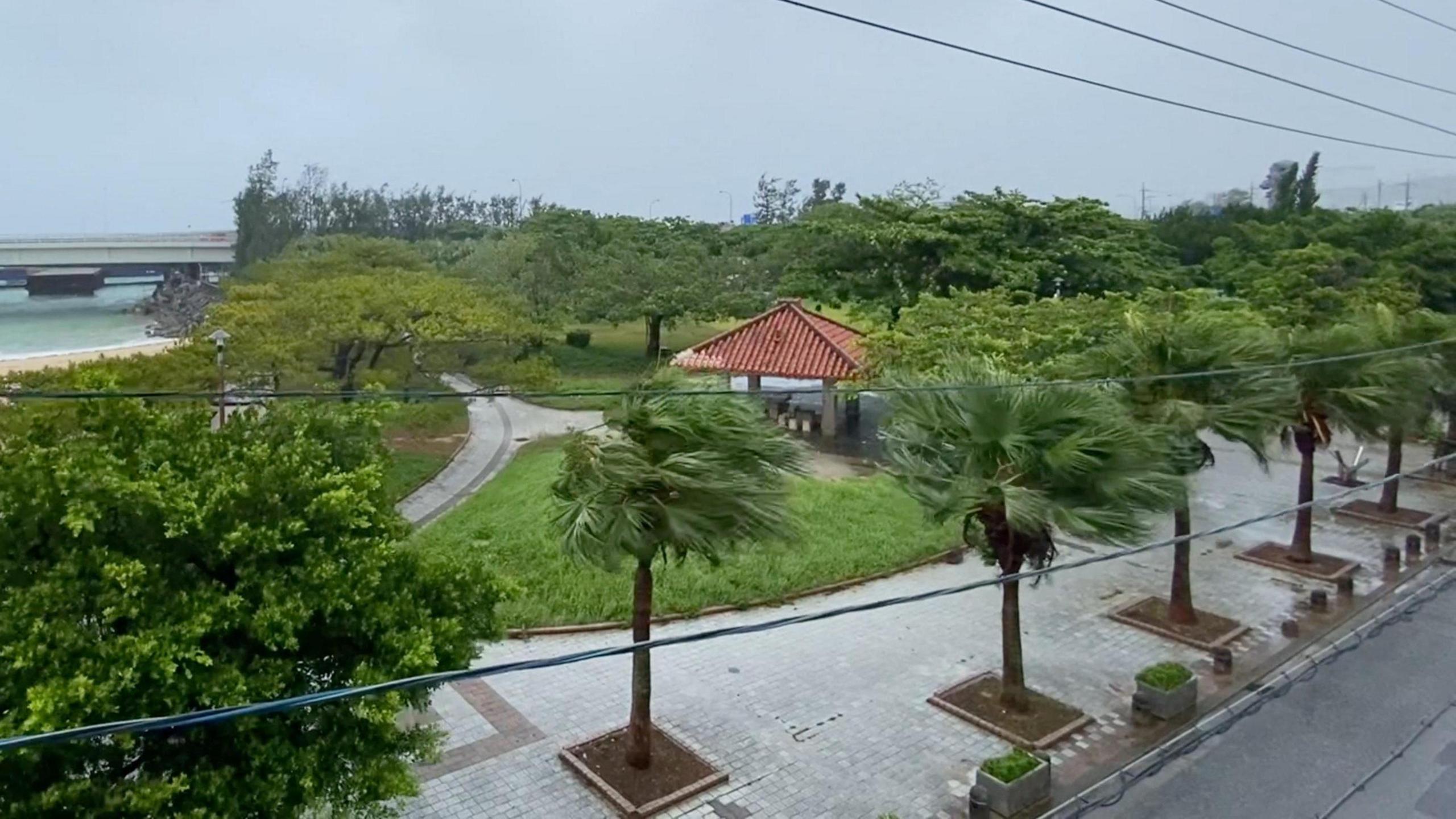 Typhoon Dolphin Swings Okinawa, Heads to China—Power Outages & Air Cancellations