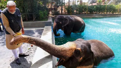Investigation Clears Ambani Family's Private Zoo of Any Wrongdoing