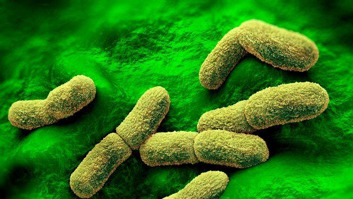 US ‘watching closely’ as plague researcher dies in Russian lab