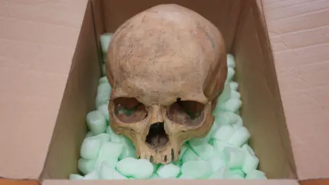 Sixty Years Later, Tourist Returns Stolen Skull to Vienna Cathedral