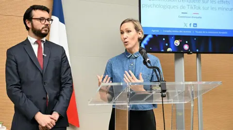 French Parliamentary Commission Calls for Ban on Social Media for Under-15s Amid TikTok Concerns