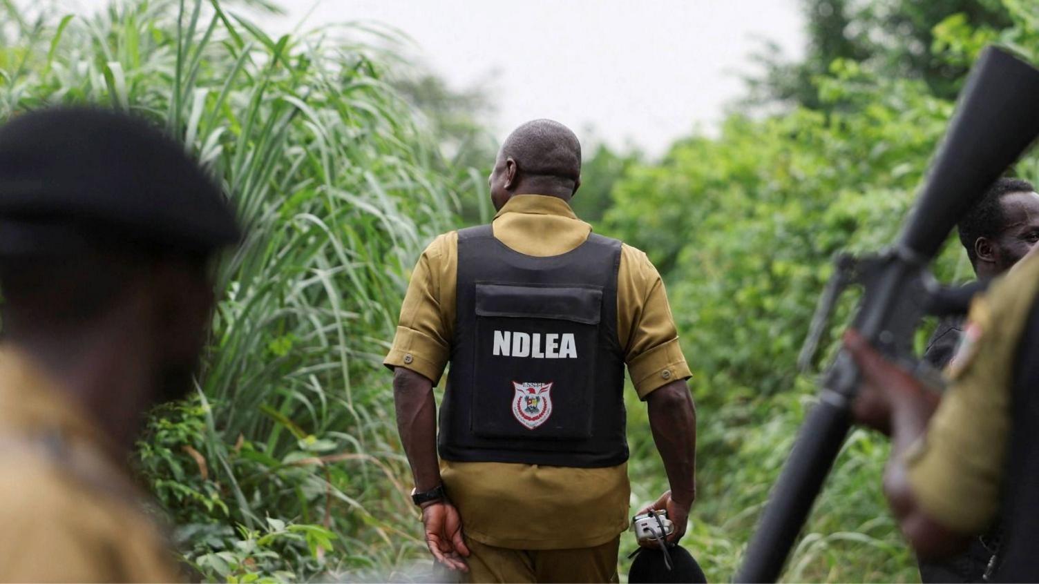 Mexican Cartels Use Hidden Nigerian Labs to Fuel Global Meth Distribution