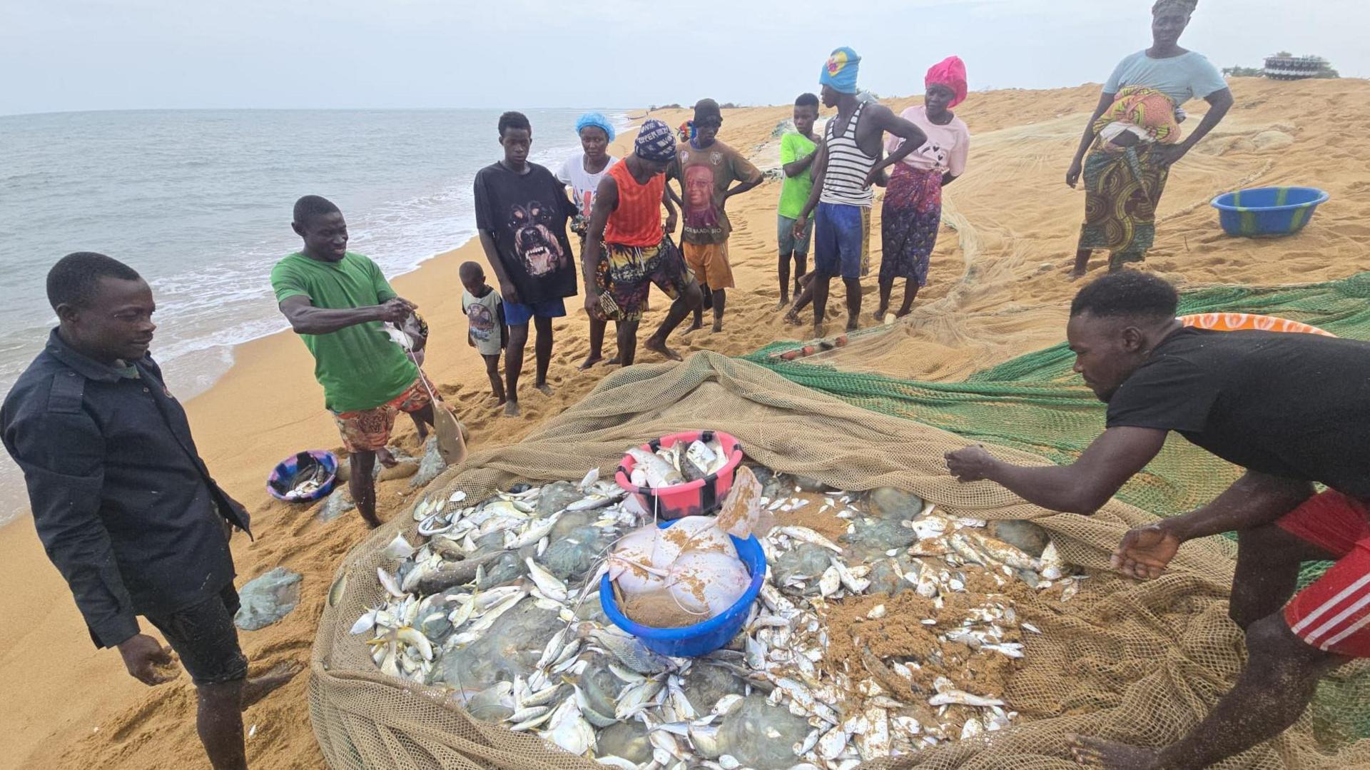 Sierra Leone fishers blame Chinese trawlers for collapsing catches