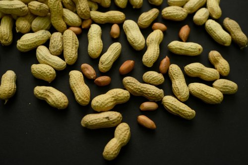 New Research Shows Early Introduction of Peanuts Can Prevent Allergies in Kids