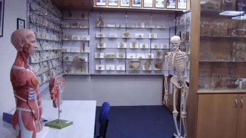 Tasmanian Government Offers Apology Over Body Parts Scandal