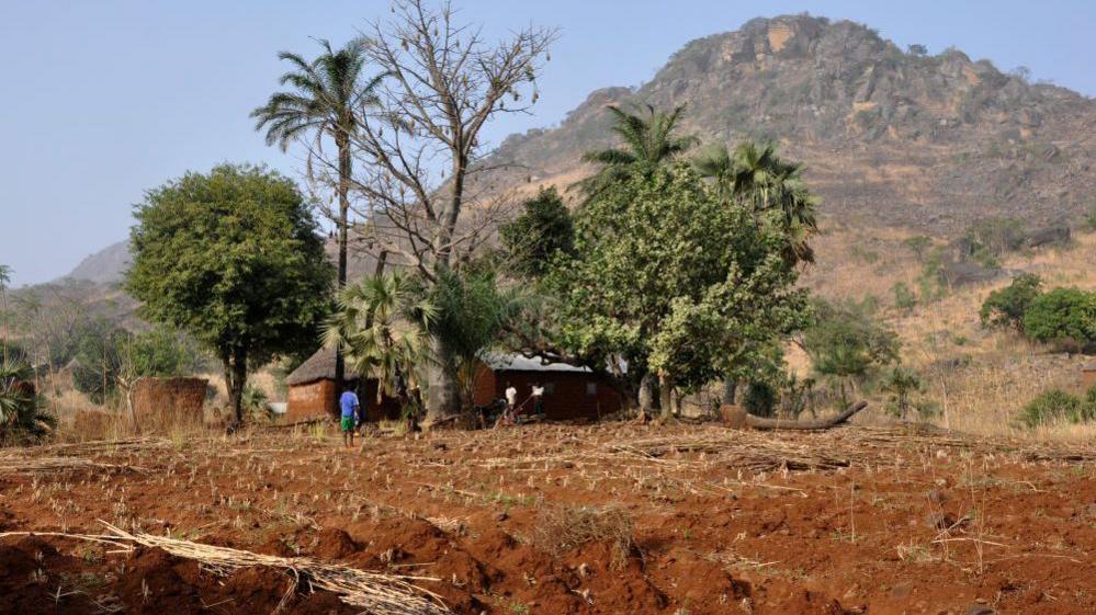Togo Arrests Two French Journalists for Alleged False Documents, RSF Says