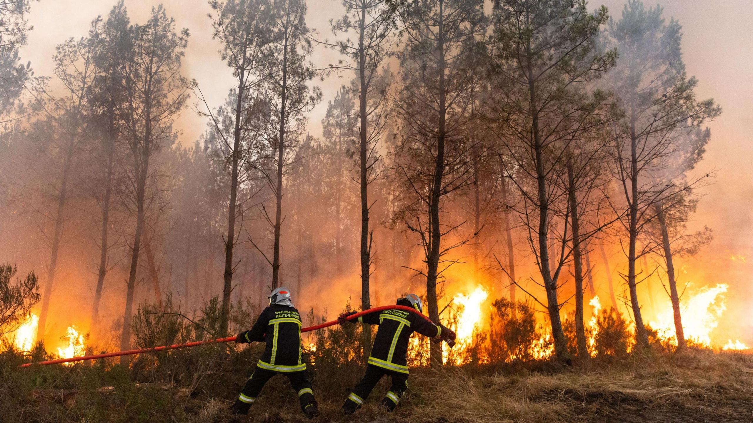 Wildfire crisis grips Bordeaux and Madrid: residents confront a wall of flames