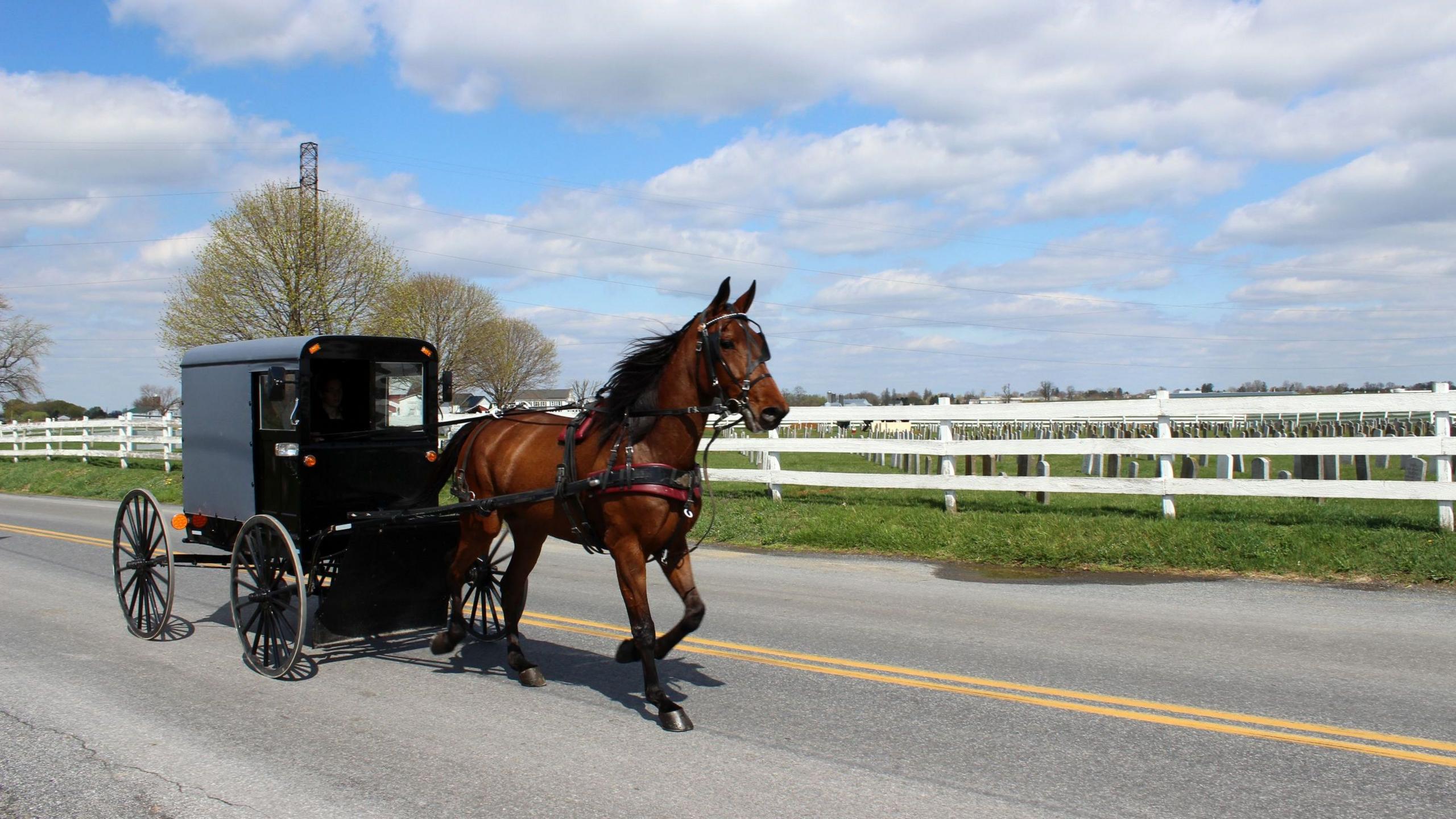 Amish nurses bring vaccines to doorsteps amid Pennsylvania measles surge