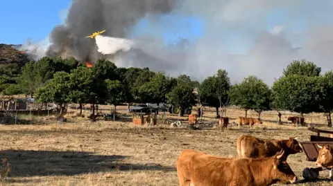 Spain Faces Devastation After a Summer of Record Wildfires