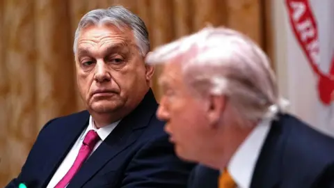 Viktor Orban's Diplomatic Balancing Act: Gains and Setbacks from US-Hungary Relations