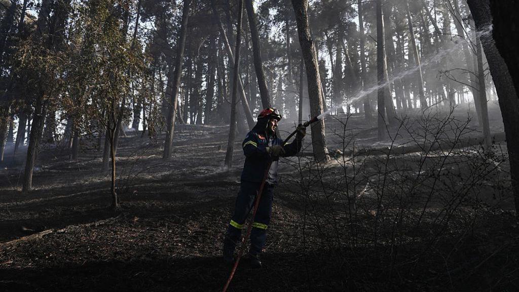 Deadly Wildfire Ravages Northern Greece; Firefighters Deploy 100+ Units to Contain 5 km Flame Wall