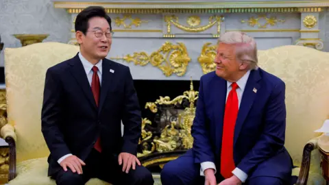 South Korea's President Warns of Diminished US Investment After Immigration Raid