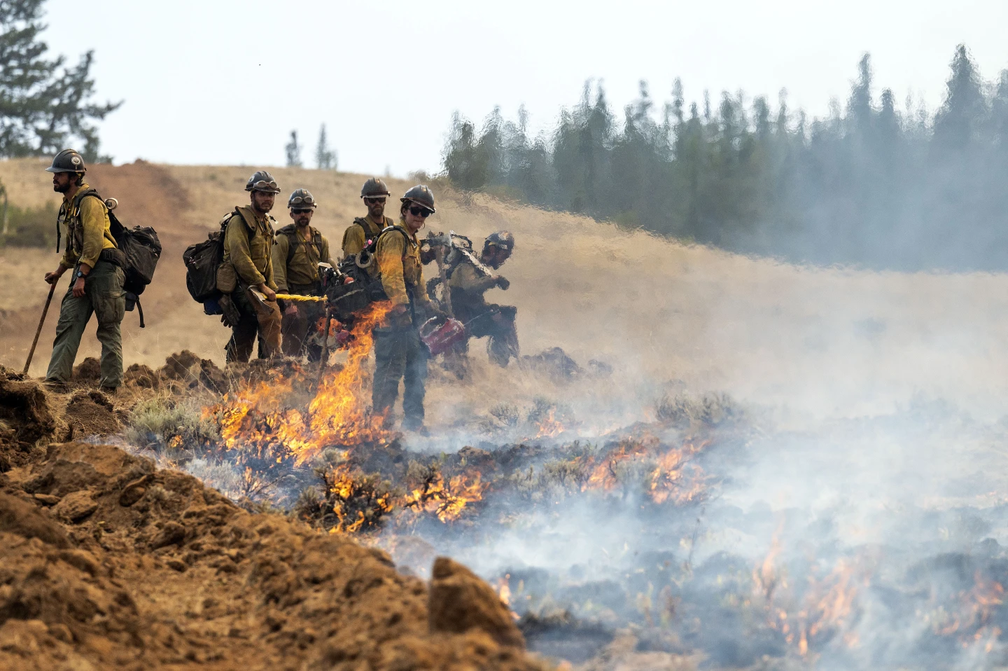 Oregon Firefighter Detained During Wildfire Response Seeks Release