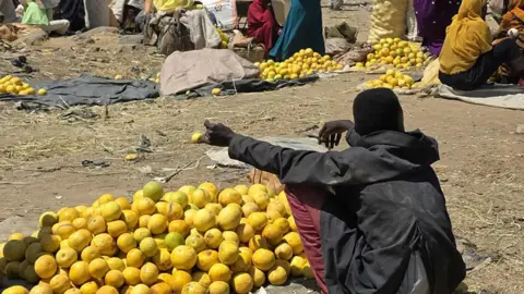 Jebel Marra: Fertile Yet Isolated Amid Sudan's Ongoing Crisis