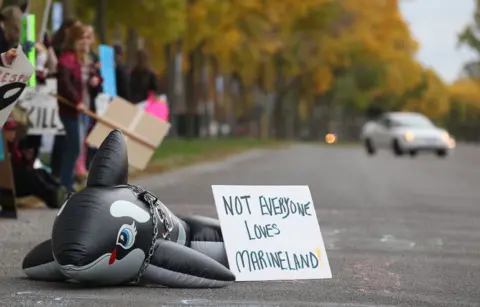 Urgent Bid to Save Beluga Whales as Marineland Threatens Euthanasia