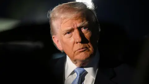 Trump Labels Democratic Lawmakers' Actions as 'Seditious Behavior'