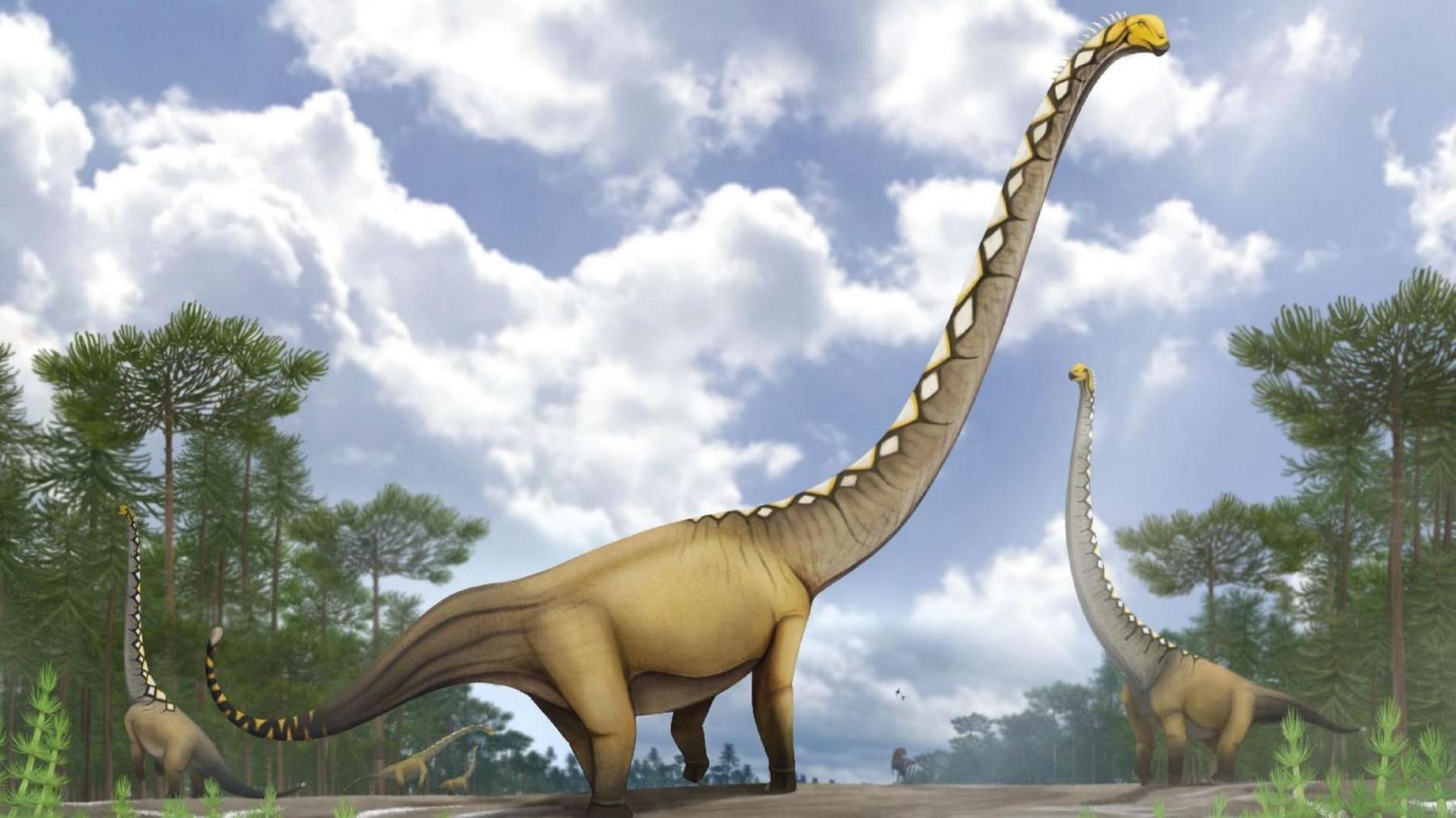 Neck the Length of a Cricket Pitch: Thailand’s New Giant Sauropod Unearthed