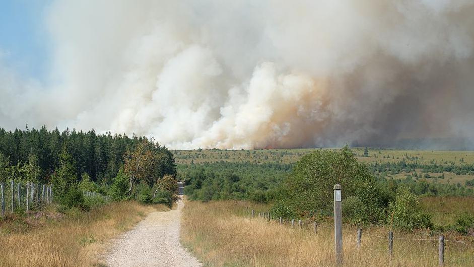 Belgian Nature Reserve in Flames: Firefighters Fight Europe's Largest Recent Wildfire