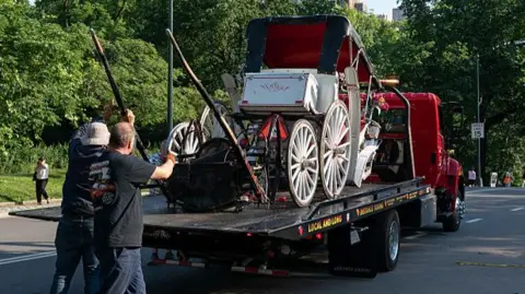 18‑Year‑Old Tourist Dies After Horse‑Drawn Carriage Accident in Central Park