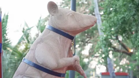 Tribute to a Hero: Cambodia Commemorates Landmine-Sniffing Rat with Statue
