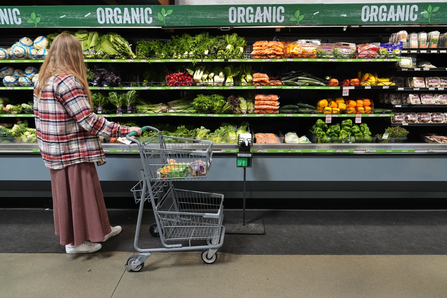 SNAP Benefits Disruption Amid Government Shutdown: Millions Affected