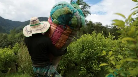 US Accuses Colombia of Failing in Drug War Efforts